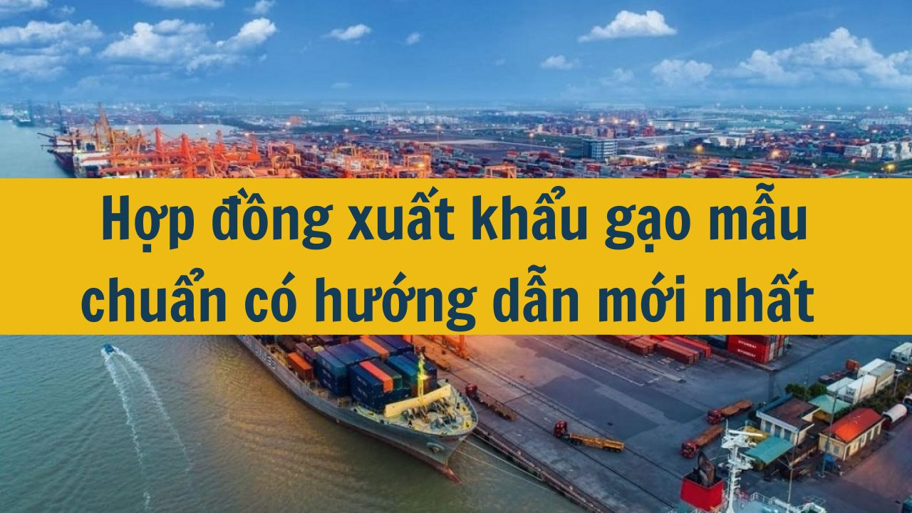 Hợp đồng xuất khẩu gạo mẫu chuẩn có hướng dẫn mới nhất 2025