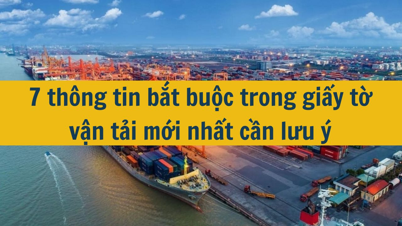7 thông tin bắt buộc trong giấy tờ vận tải mới nhất 2025 cần lưu ý
