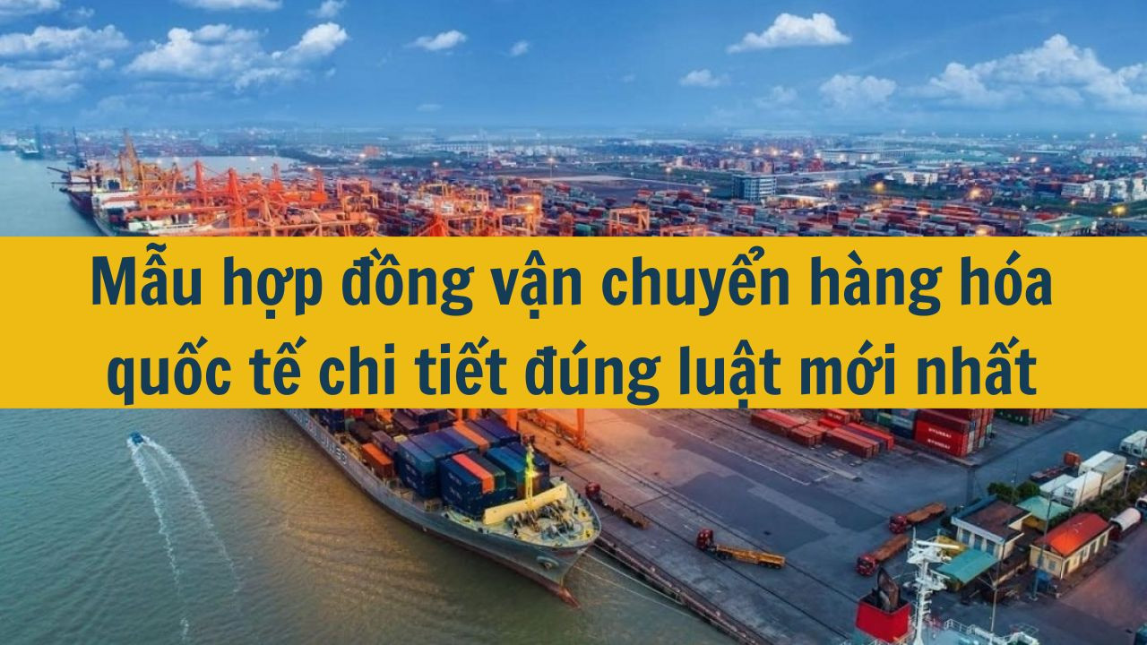 Mẫu hợp đồng vận chuyển hàng hóa quốc tế chi tiết đúng luật mới nhất 2025