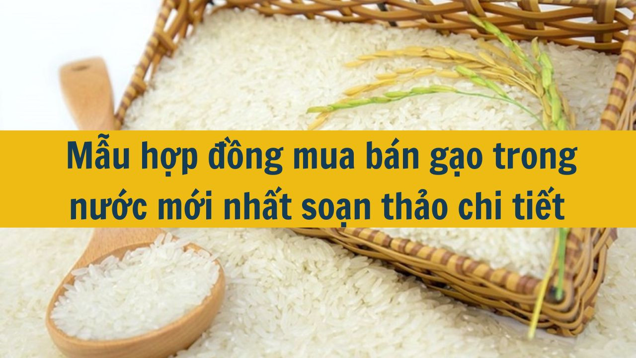 Mẫu hợp đồng mua bán gạo trong nước mới nhất 2025 soạn thảo chi tiết