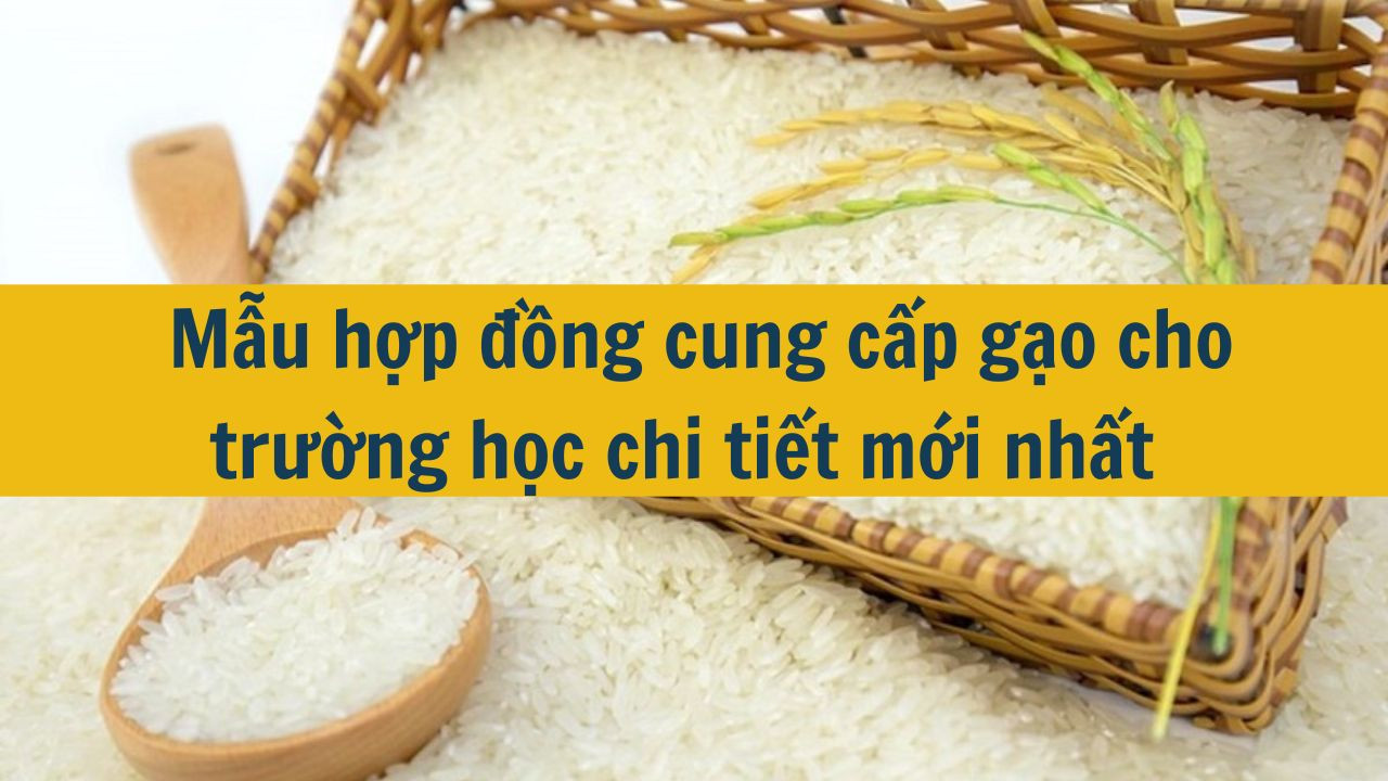 Mẫu hợp đồng cung cấp gạo cho trường học chi tiết mới nhất 2025