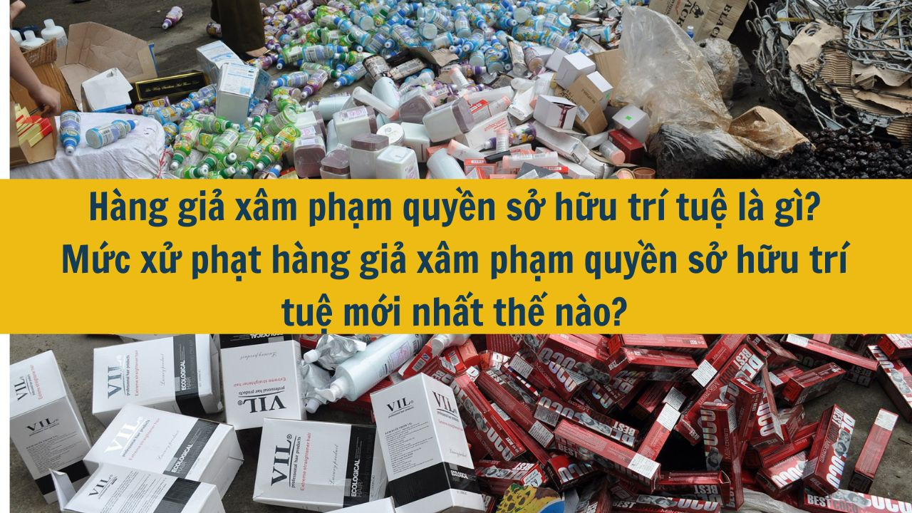 Hàng giả xâm phạm quyền sở hữu trí tuệ là gì? Mức xử phạt hàng giả xâm phạm quyền sở hữu trí tuệ mới nhất 2025 thế nào?