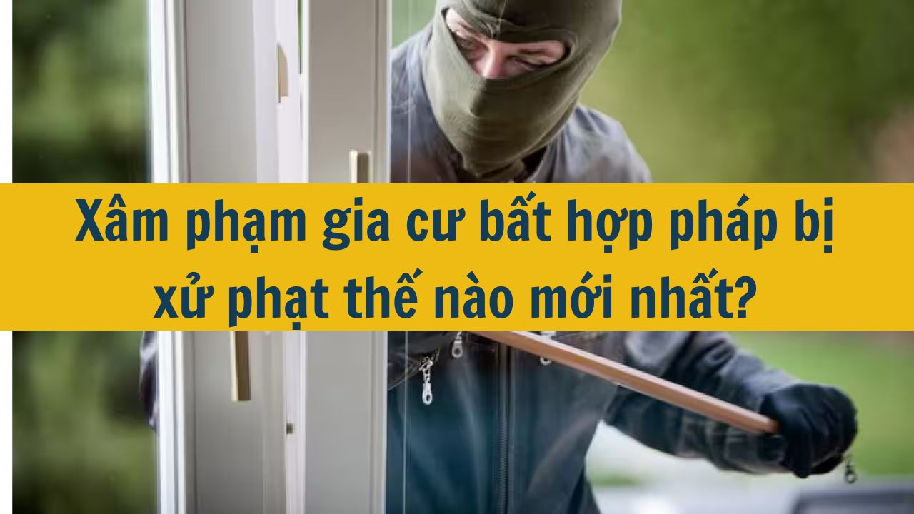 Xâm phạm gia cư bất hợp pháp bị xử phạt thế nào mới nhất 2025?