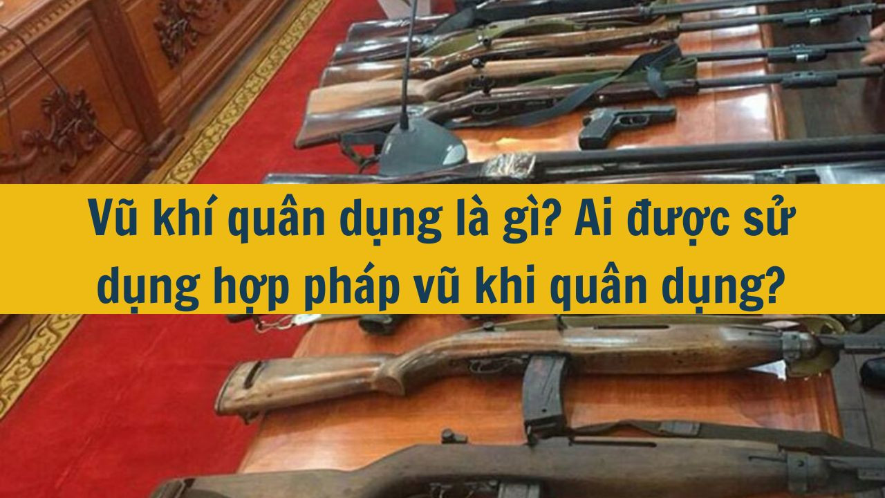 Vũ khí quân dụng là gì? Ai được sử dụng hợp pháp vũ khi quân dụng?