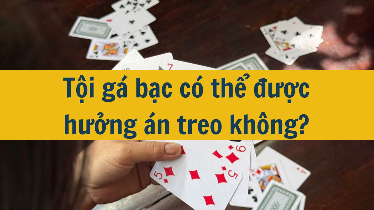 Tội gá bạc có thể được hưởng án treo không?