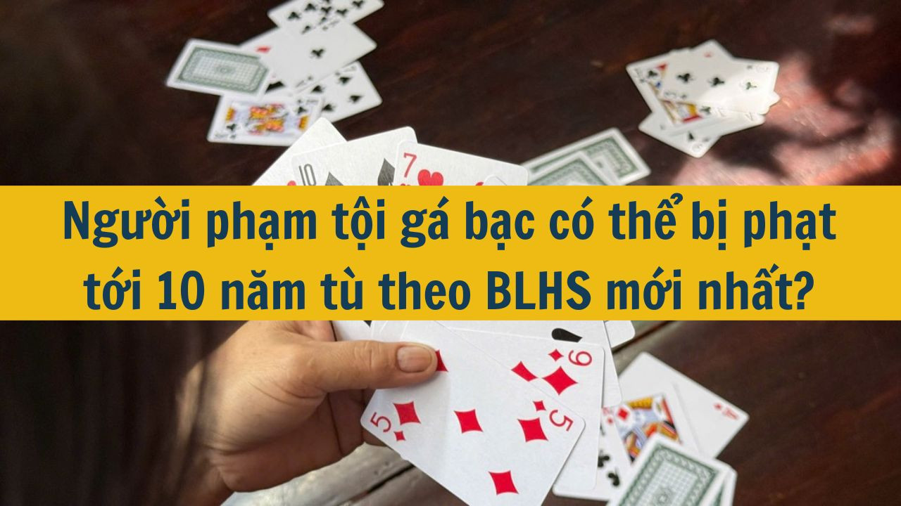 Người phạm tội gá bạc có thể bị phạt tới 10 năm tù theo BLHS mới nhất 2025?
