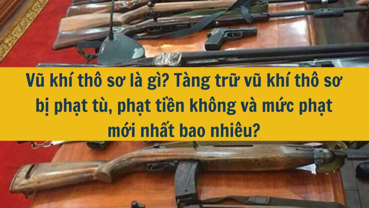 Vũ khí thô sơ là gì? Tàng trữ vũ khí thô sơ bị phạt tù, phạt tiền không và mức phạt mới nhất 2025 bao nhiêu?