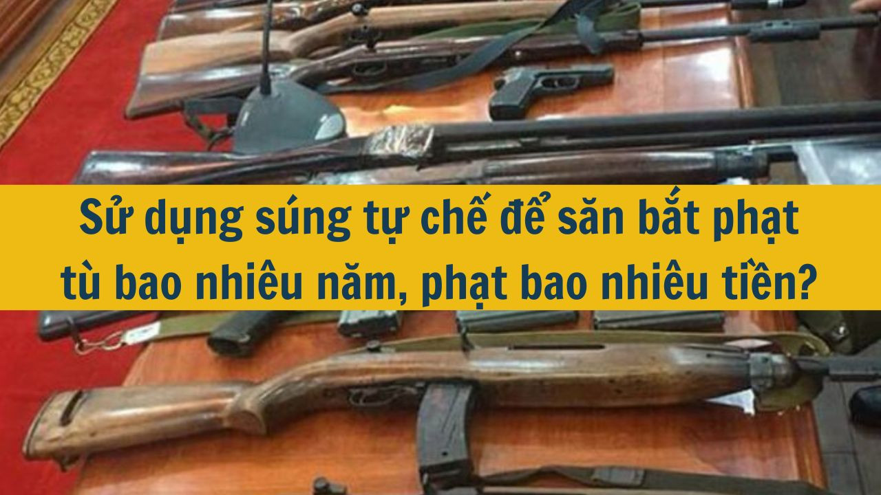 Sử dụng súng tự chế để săn bắt phạt tù bao nhiêu năm, phạt bao nhiêu tiền?