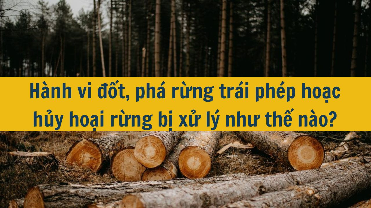 Hành vi đốt, phá rừng trái phép hoặc hủy hoại rừng bị xử lý như thế nào?