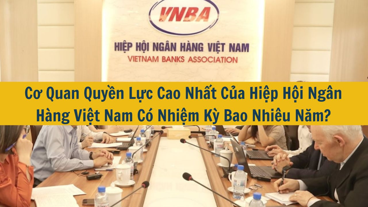 Cơ Quan Quyền Lực Cao Nhất Của Hiệp Hội Ngân Hàng Việt Nam Có Nhiệm Kỳ Bao Nhiêu Năm?
