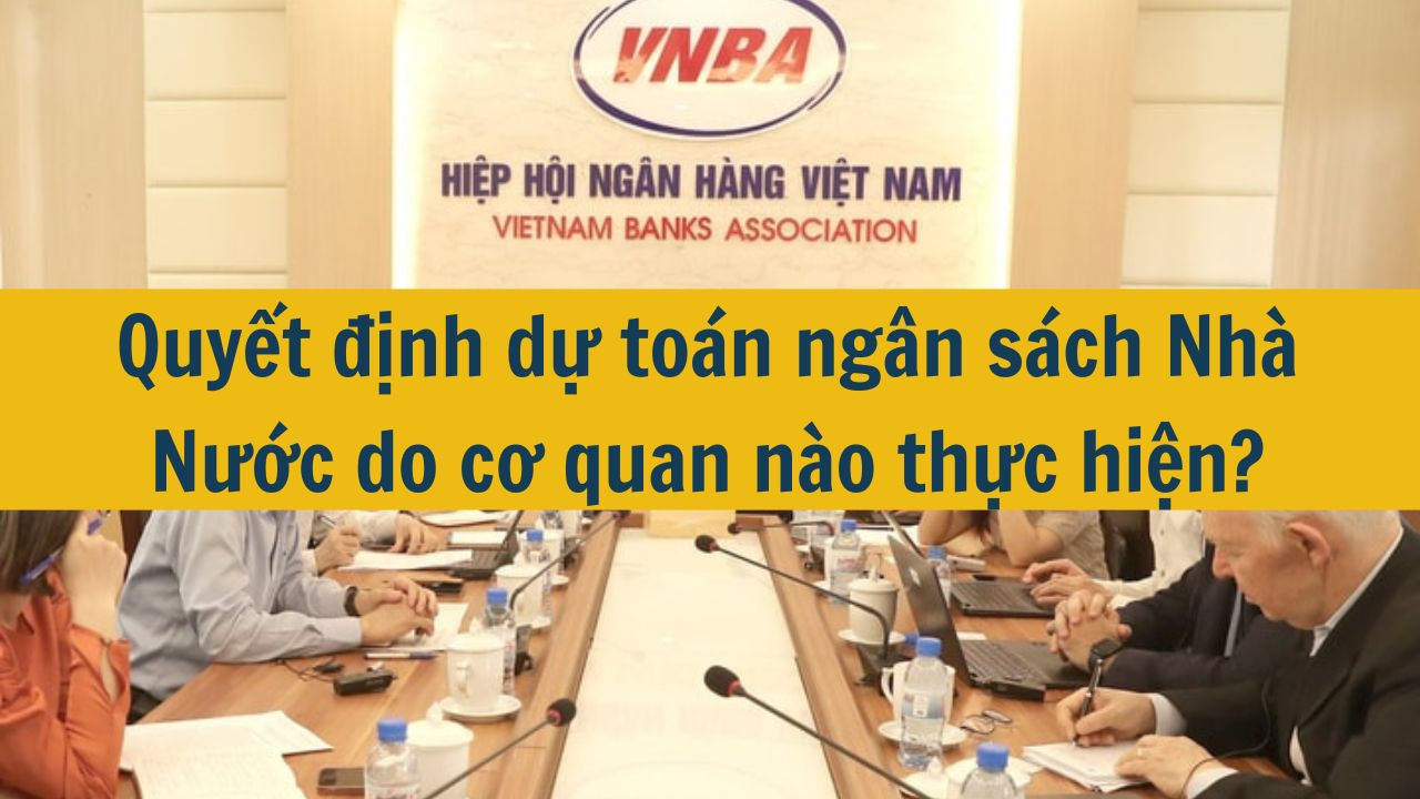 Quyết định dự toán ngân sách Nhà Nước do cơ quan nào thực hiện?