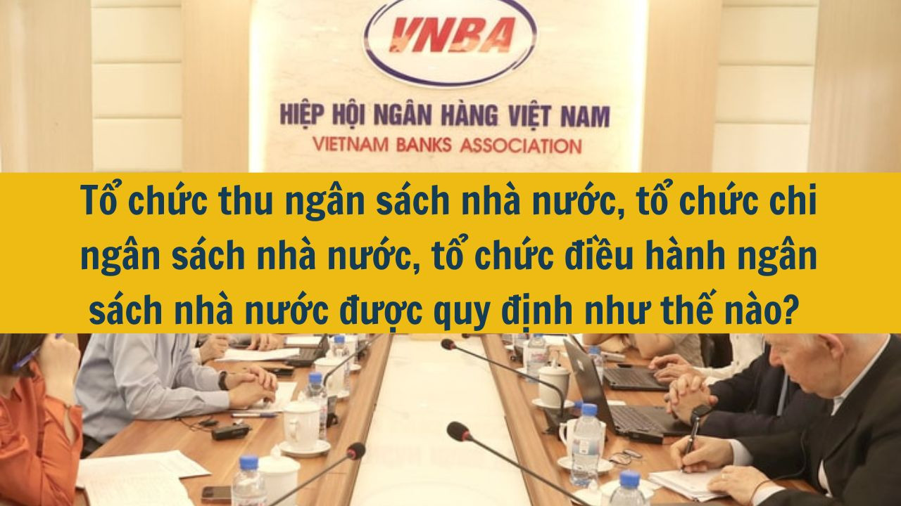 Tổ chức thu ngân sách nhà nước, tổ chức chi ngân sách nhà nước, tổ chức điều hành ngân sách nhà nước được quy định như thế nào?