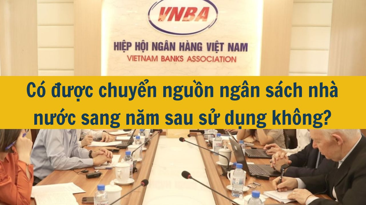 Có được chuyển nguồn ngân sách nhà nước sang năm sau sử dụng không?