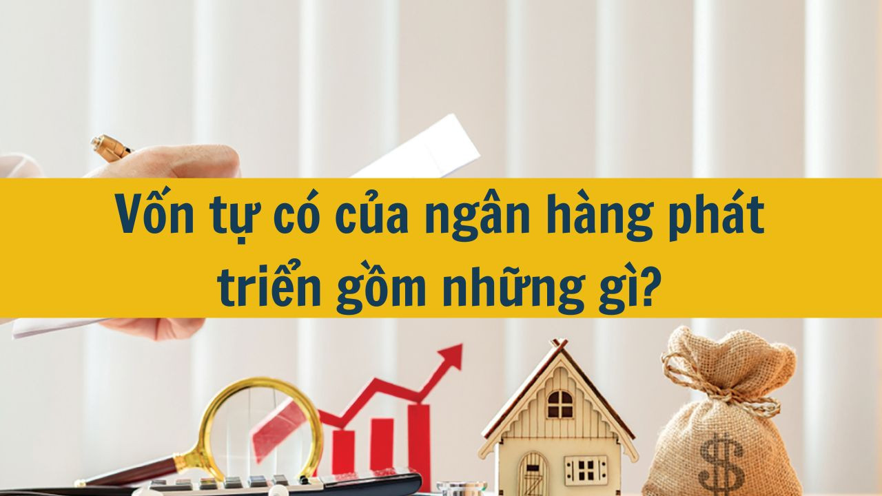 Vốn tự có của ngân hàng phát triển gồm những gì?