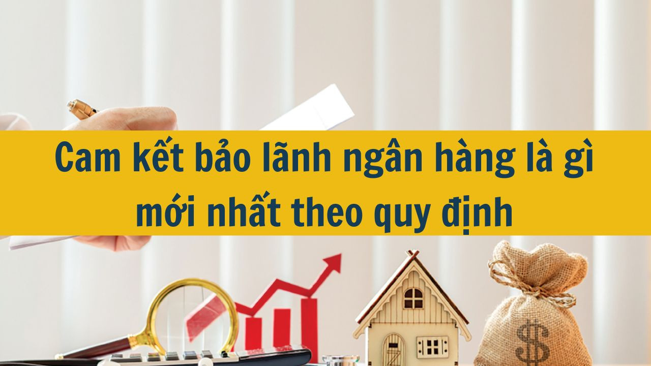 Cam kết bảo lãnh ngân hàng là gì mới nhất theo quy định 2025