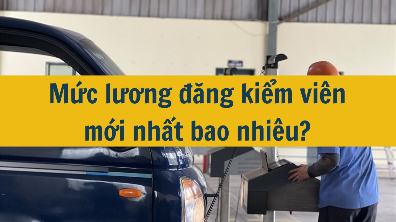 Mức lương đăng kiểm viên mới nhất 2025 bao nhiêu?