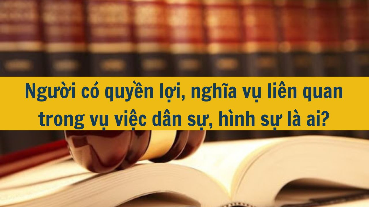 Người có quyền lợi, nghĩa vụ liên quan trong vụ việc dân sự, hình sự là ai?