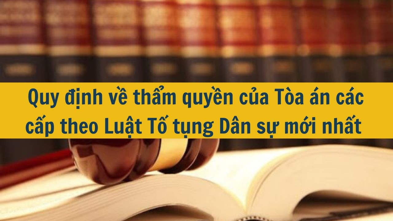 Quy định về thẩm quyền của Tòa án các cấp theo Luật Tố tụng Dân sự mới nhất 2025