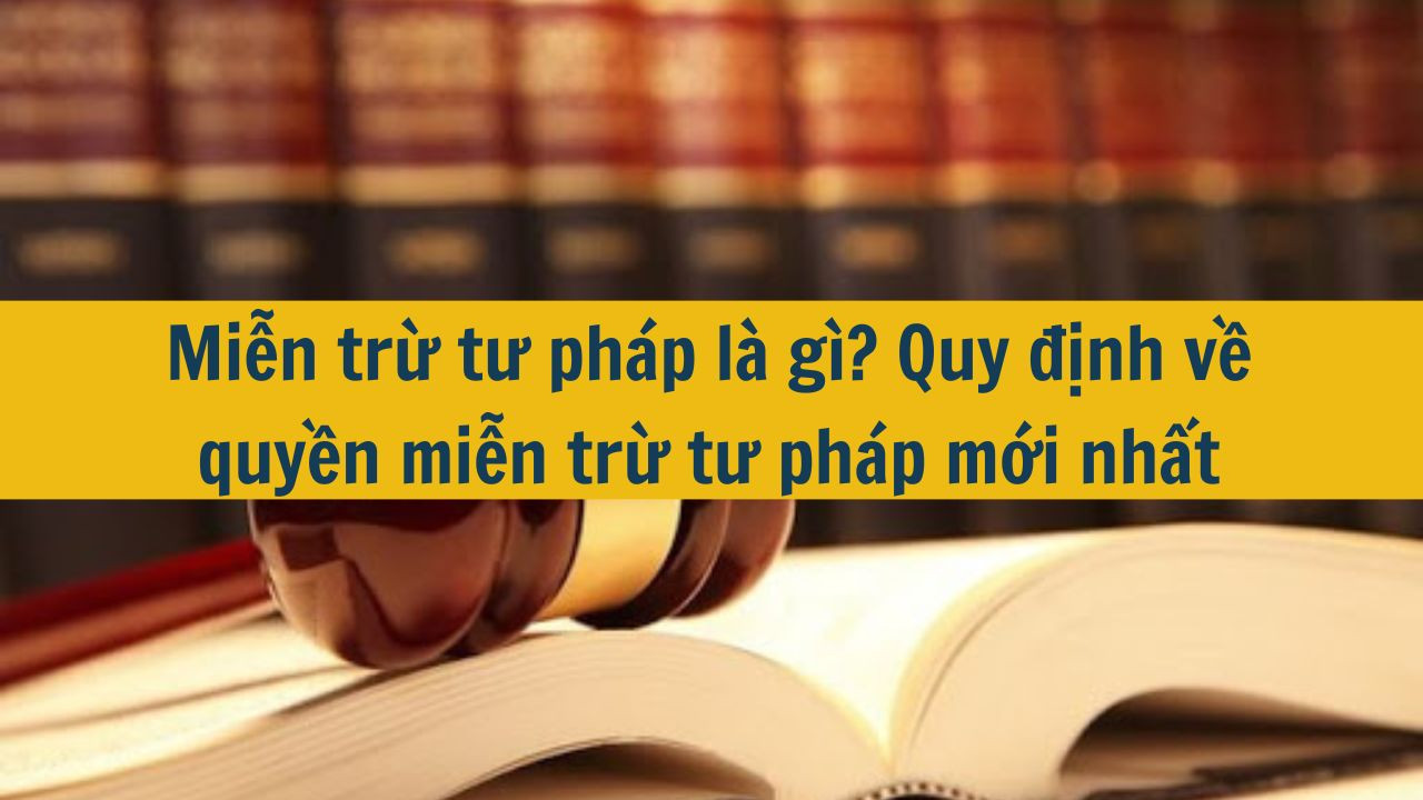 Miễn trừ tư pháp là gì? Quy định về quyền miễn trừ tư pháp mới nhất 2025