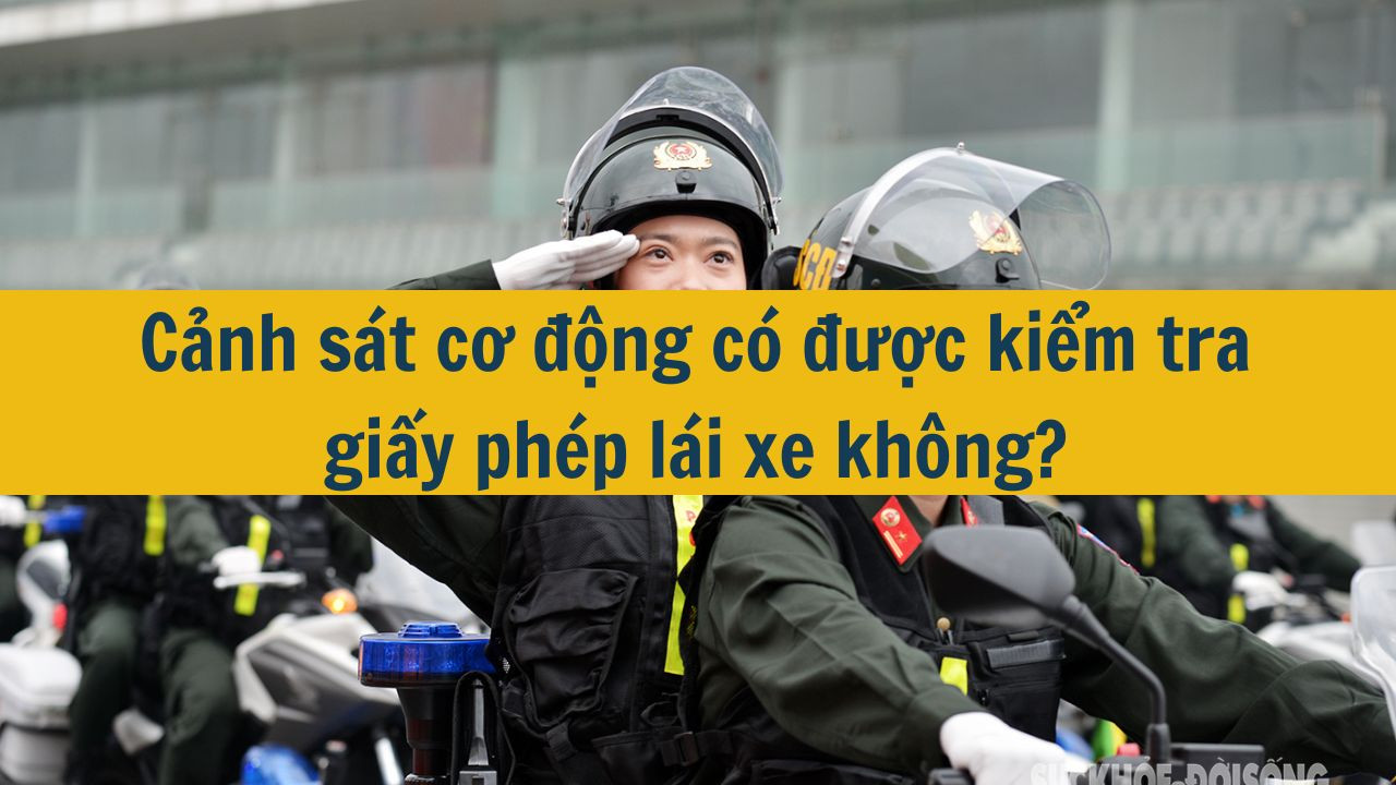 Cảnh sát cơ động có được kiểm tra giấy phép lái xe không?