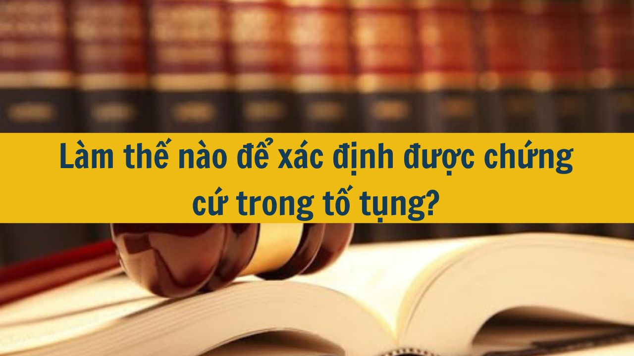Làm thế nào để xác định được chứng cứ trong tố tụng?