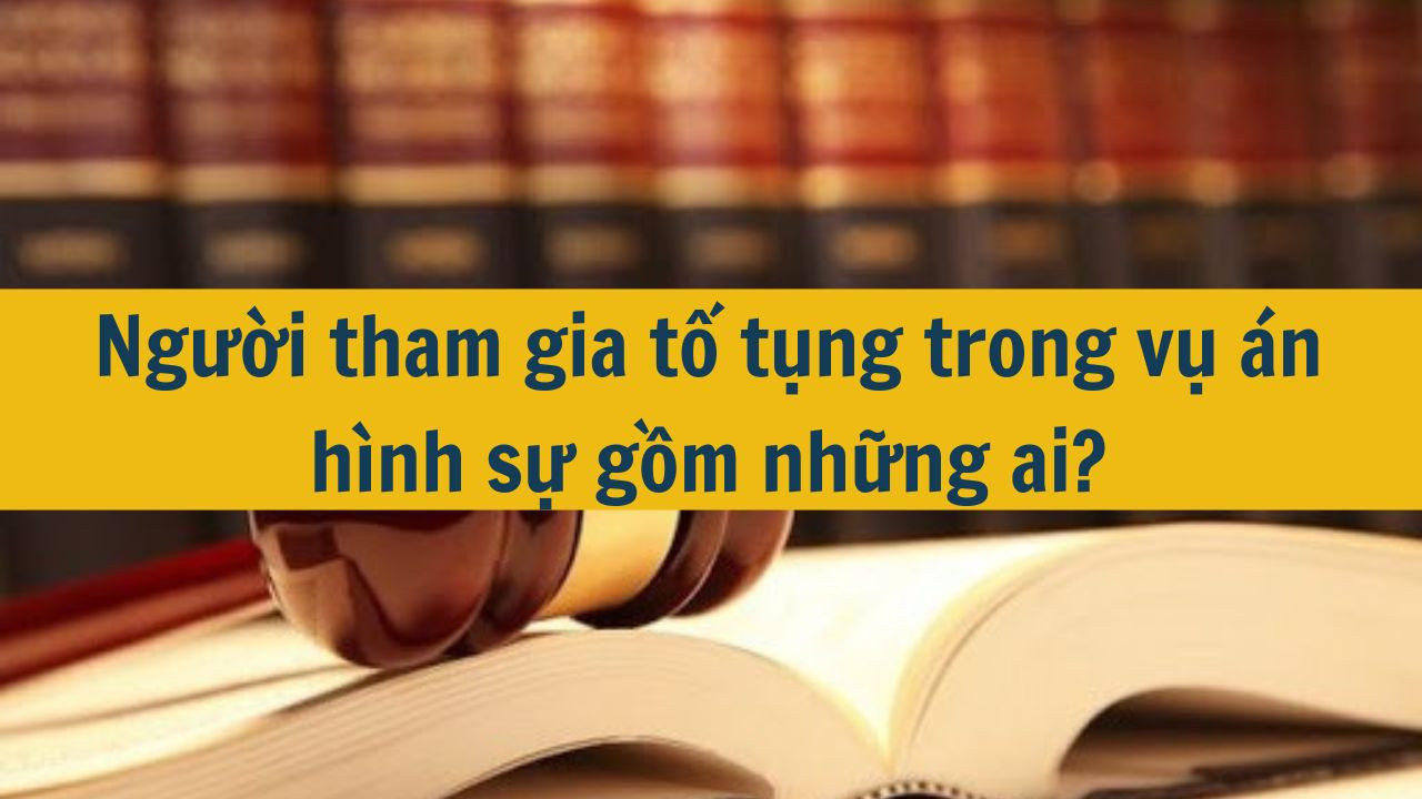 Người tham gia tố tụng trong vụ án hình sự gồm những ai?