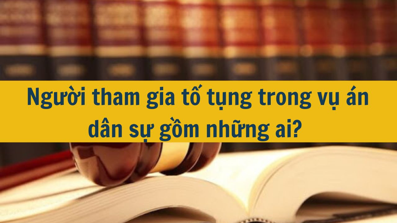 Người tham gia tố tụng trong vụ án dân sự gồm những ai?