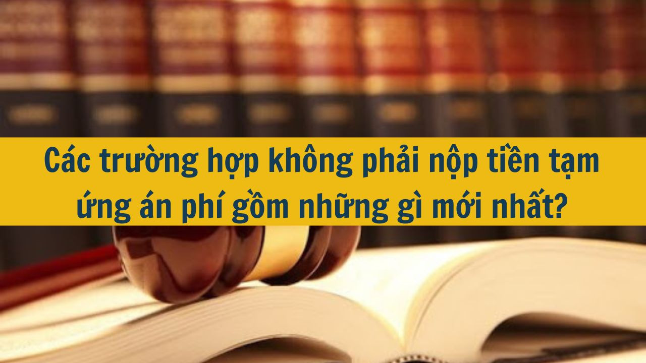 Các trường hợp không phải nộp tiền tạm ứng án phí gồm những gì mới nhất 2025?