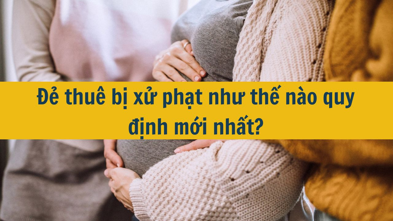 Đẻ thuê bị xử phạt như thế nào quy định mới nhất 2025?