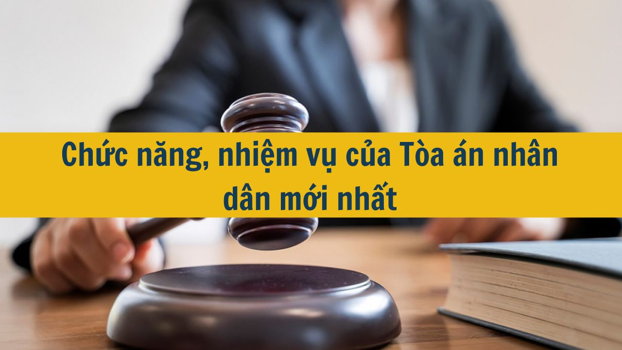 Chức năng, nhiệm vụ của Tòa án nhân dân mới nhất 2025