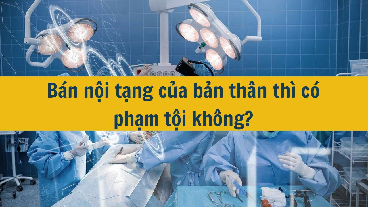 Bán nội tạng của bản thân thì có phạm tội không?