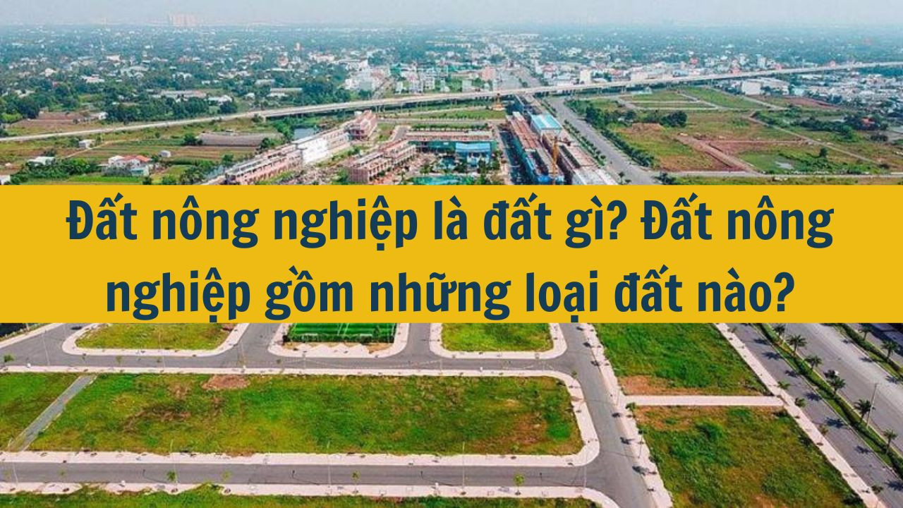 Đất nông nghiệp là đất gì? Đất nông nghiệp gồm những loại đất nào?
