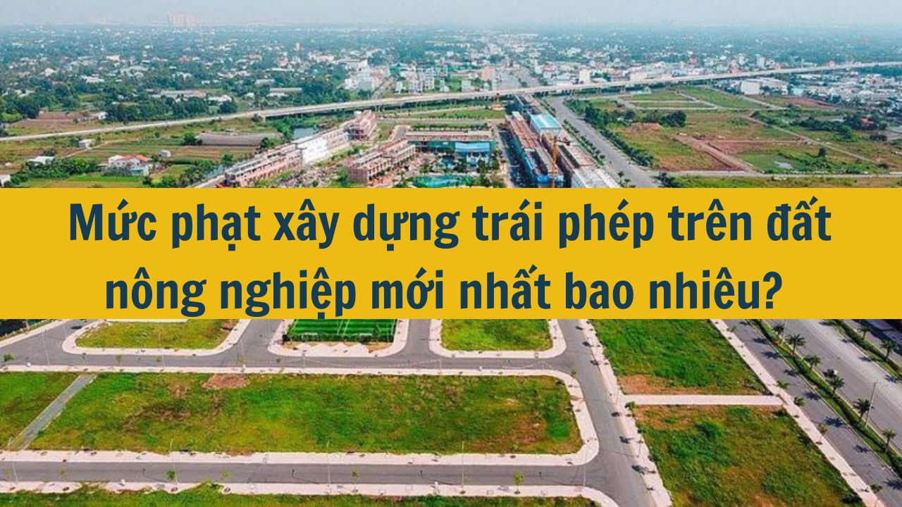 Mức phạt xây dựng trái phép trên đất nông nghiệp mới nhất 2025 bao nhiêu?