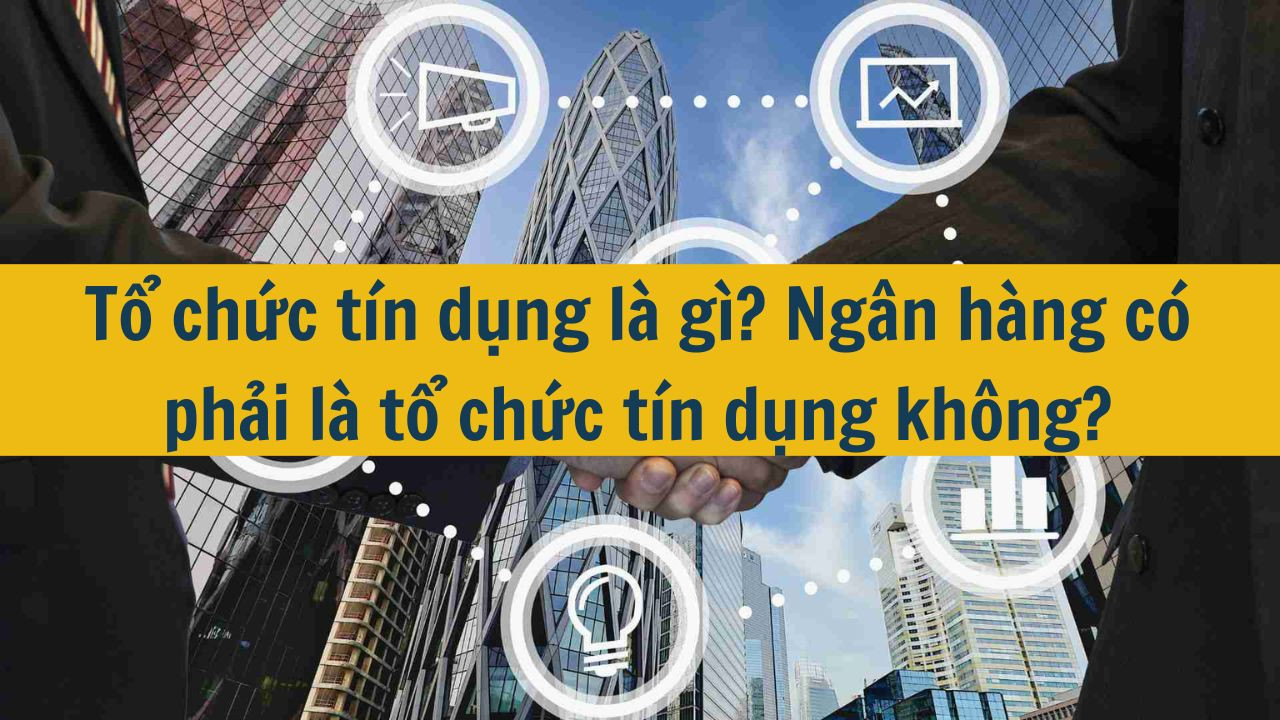 Tổ chức tín dụng là gì? Ngân hàng có phải là tổ chức tín dụng không?