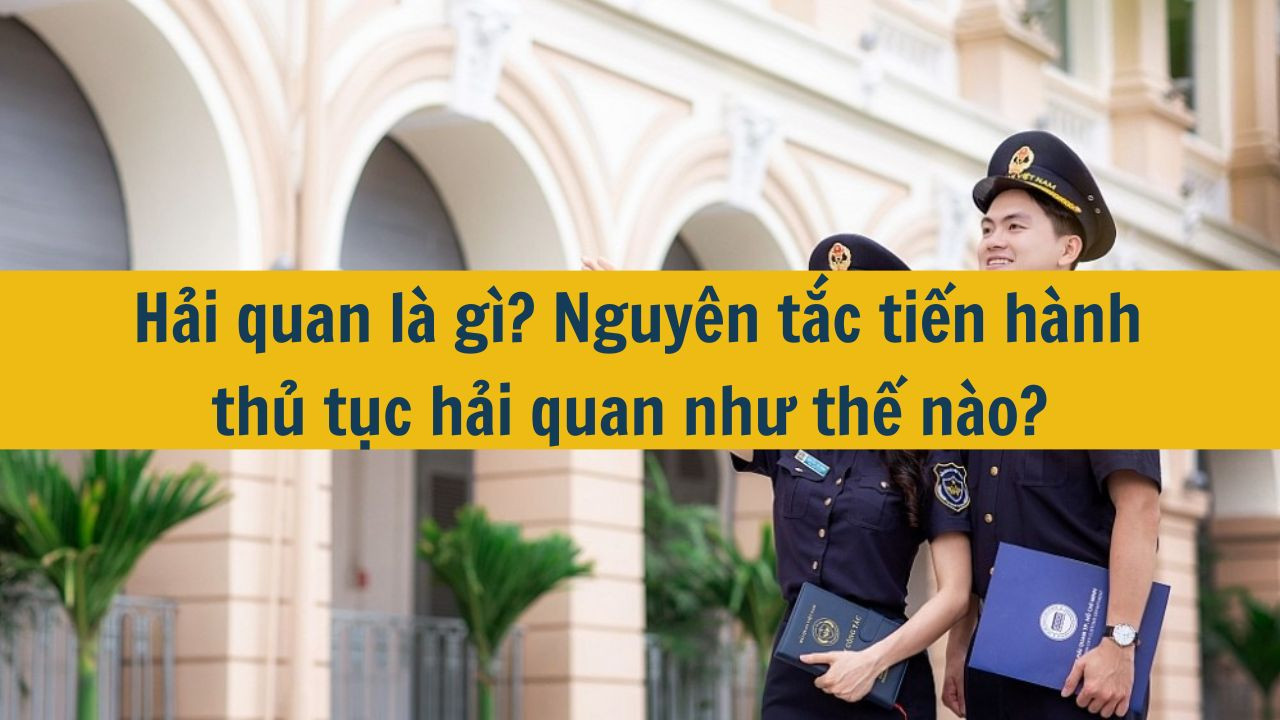 Hải quan là gì? Nguyên tắc tiến hành thủ tục hải quan như thế nào?
