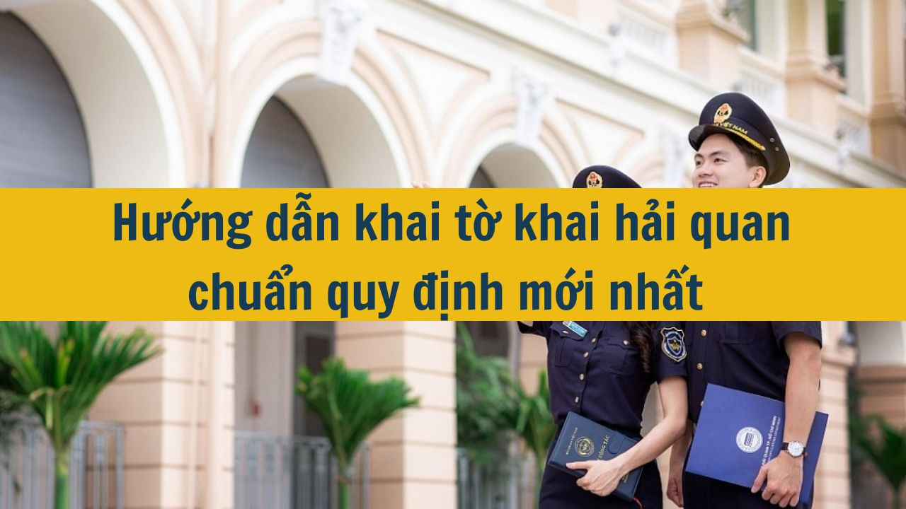 Hướng dẫn khai tờ khai hải quan chuẩn quy định mới nhất 2025