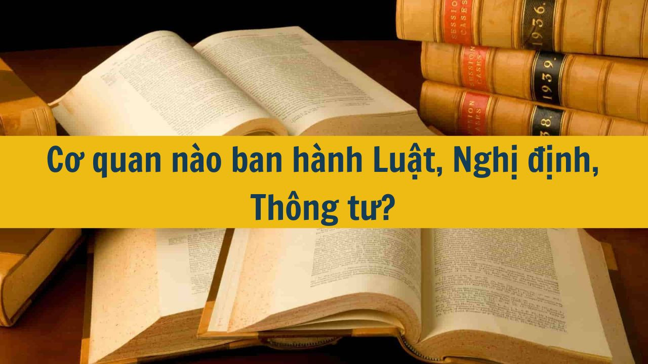 Cơ quan nào ban hành Luật, Nghị định, Thông tư?