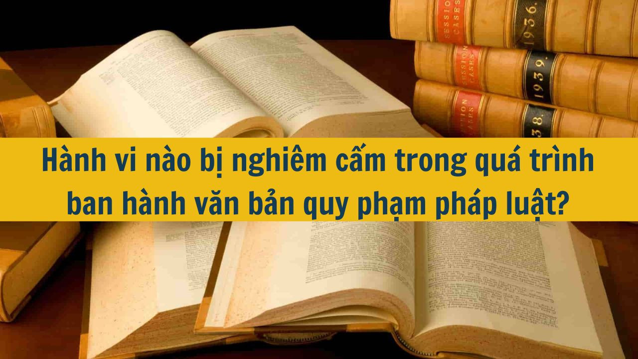 Hành vi nào bị nghiêm cấm trong quá trình ban hành văn bản quy phạm pháp luật?