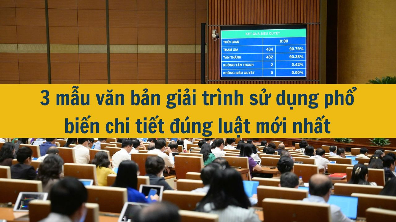 3 mẫu văn bản giải trình sử dụng phổ biến chi tiết đúng luật mới nhất 2025