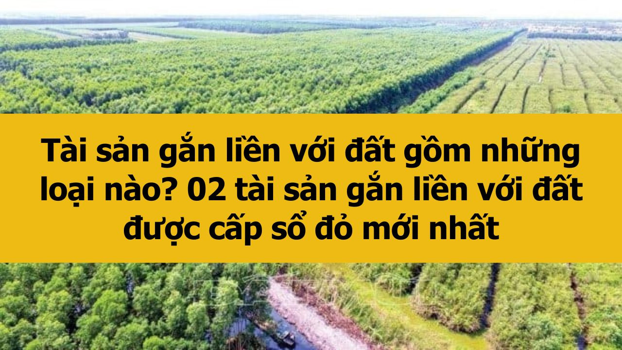 Tài sản gắn liền với đất gồm những loại nào? 02 tài sản gắn liền với đất được cấp sổ đỏ mới nhất 2025