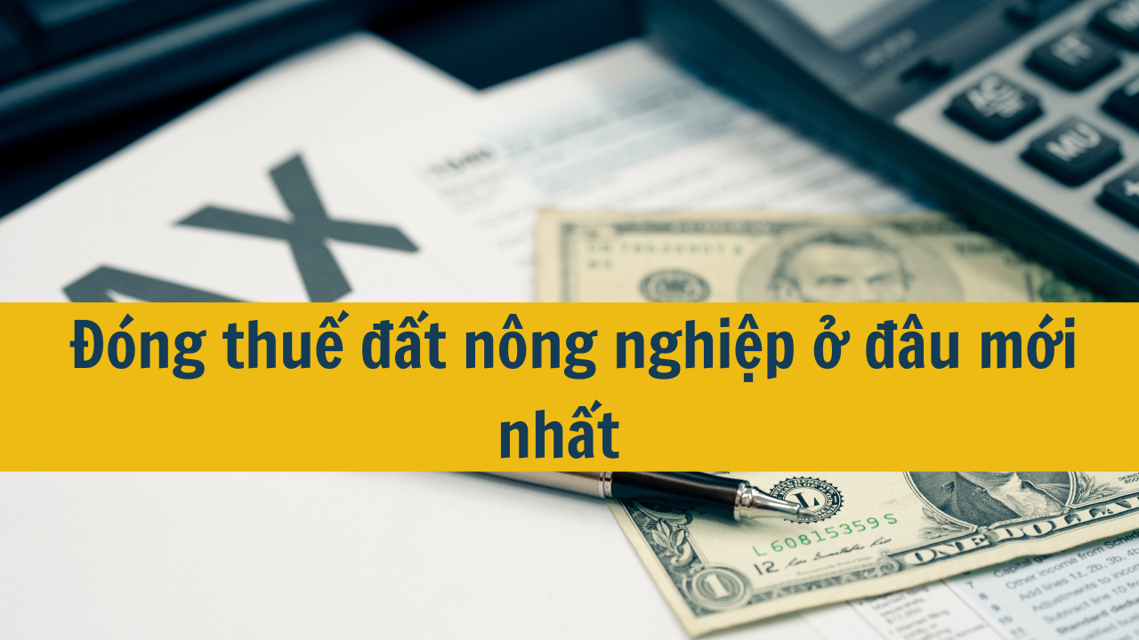 Đóng thuế đất nông nghiệp ở đâu mới nhất 2025?