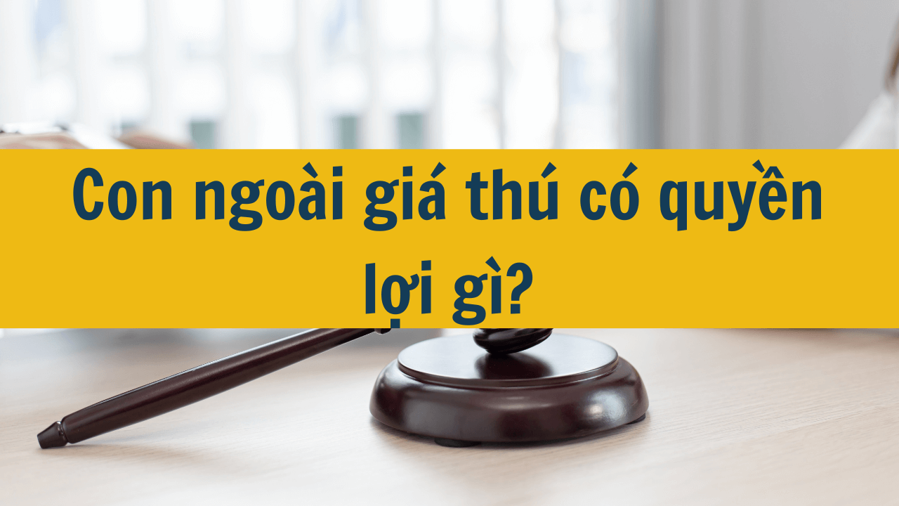 Con ngoài giá thú có quyền lợi gì mới nhất 2025?