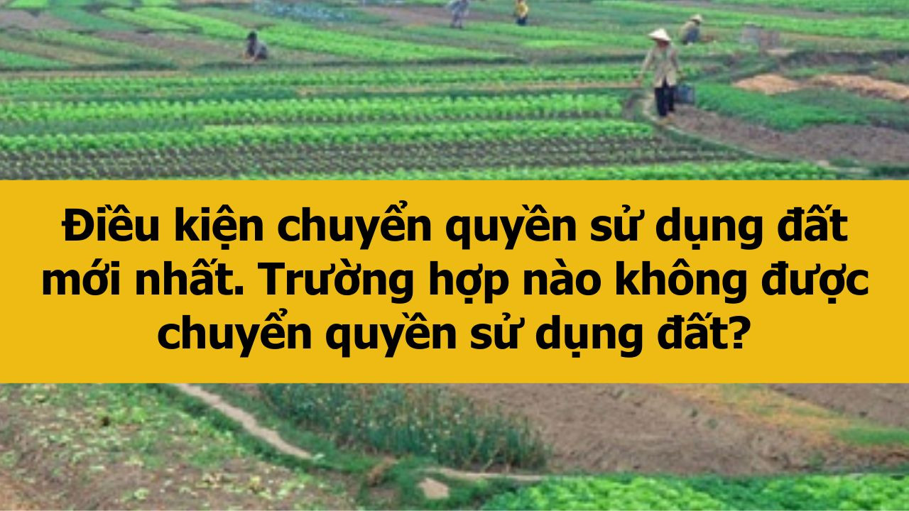 Điều kiện chuyển quyền sử dụng đất mới nhất 2025. Trường hợp nào không được chuyển quyền sử dụng đất?