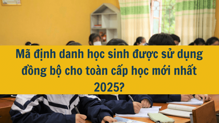 Mã định danh học sinh được sử dụng đồng bộ cho toàn cấp học mới nhất 2025?