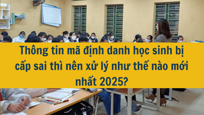 Thông tin mã định danh học sinh bị cấp sai thì nên xử lý như thế nào mới nhất 2025?