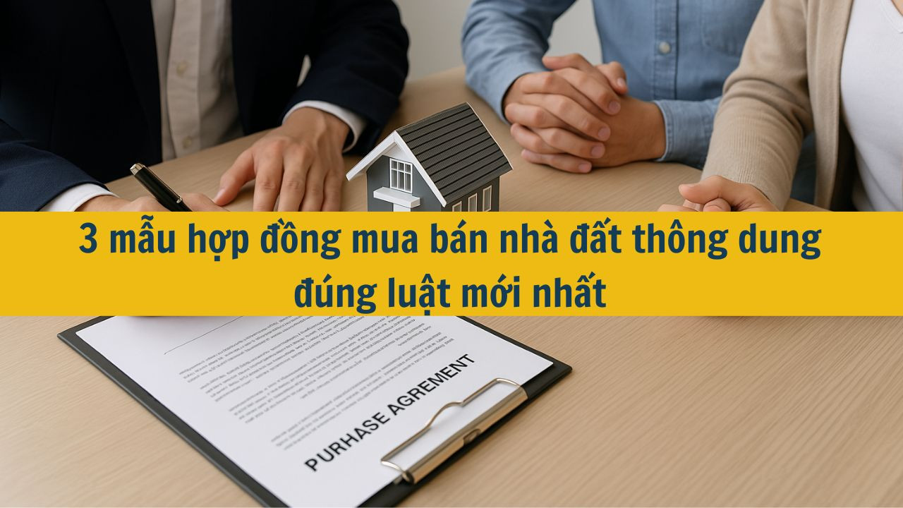 3 mẫu hợp đồng mua bán nhà đất thông dung đúng luật mới nhất 2025