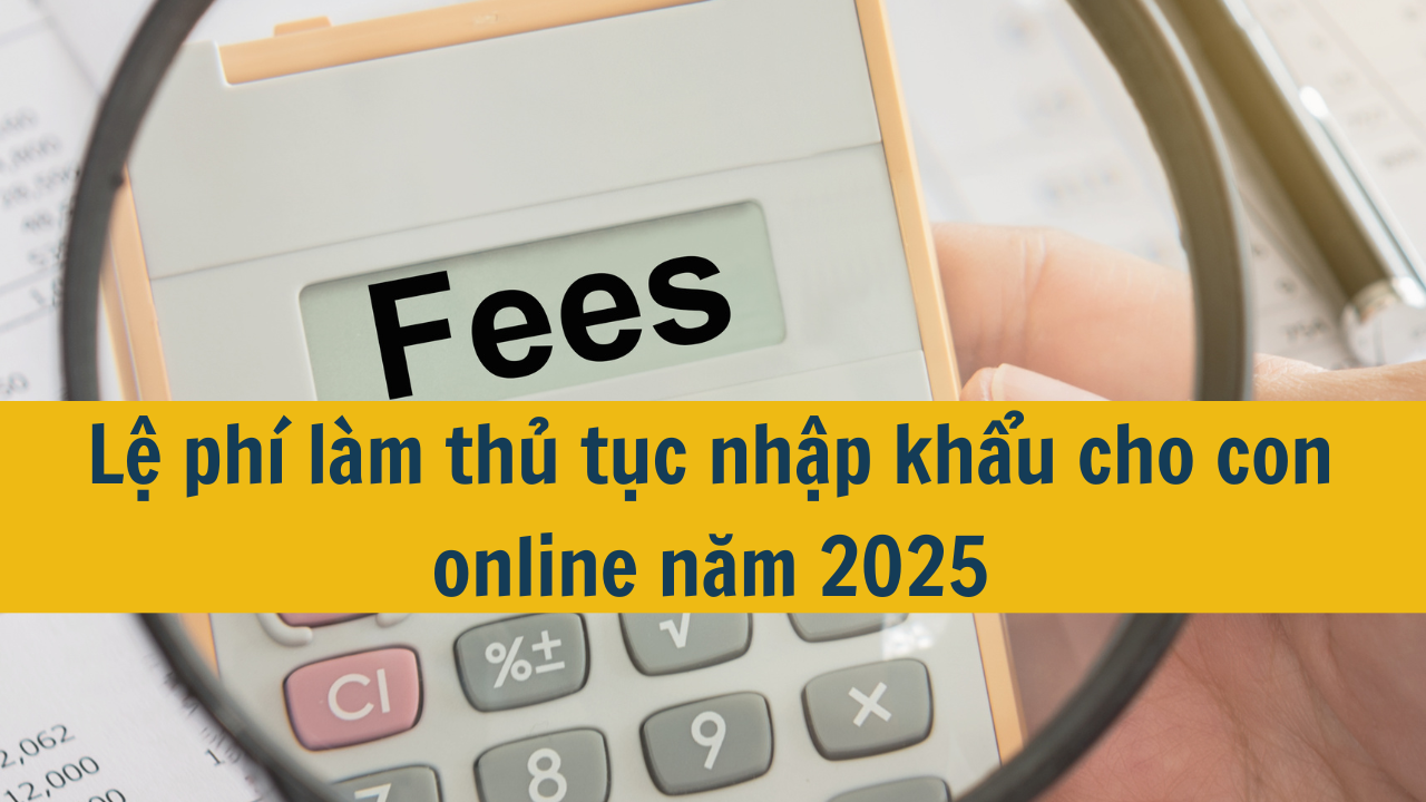 Lệ phí làm thủ tục nhập khẩu cho con online năm 2025