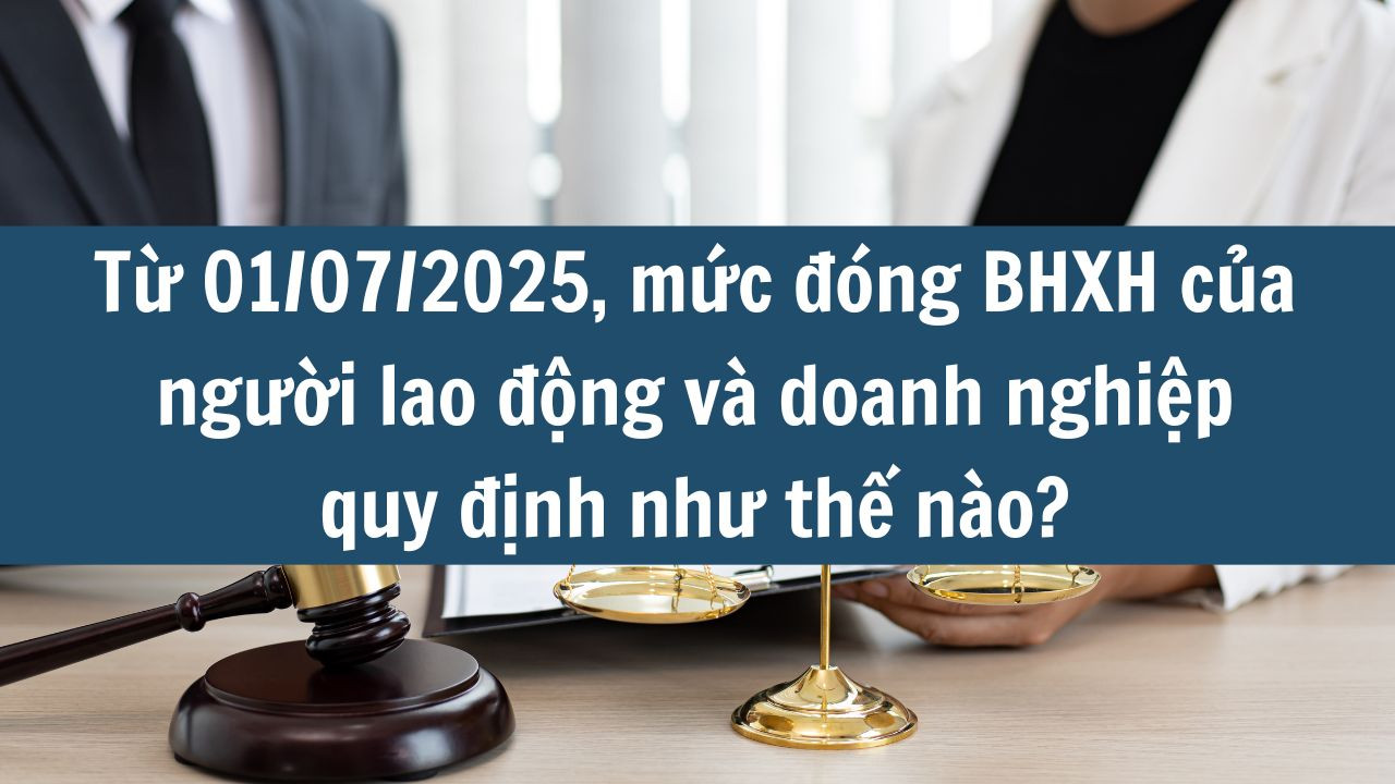 Từ 01/07/2025, mức đóng BHXH của người lao động và doanh nghiệp quy định như thế nào?