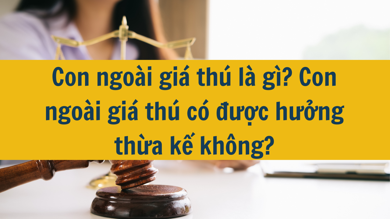 Con ngoài giá thú là gì? Con ngoài giá thú có được hưởng thừa kế mới nhất 2025?