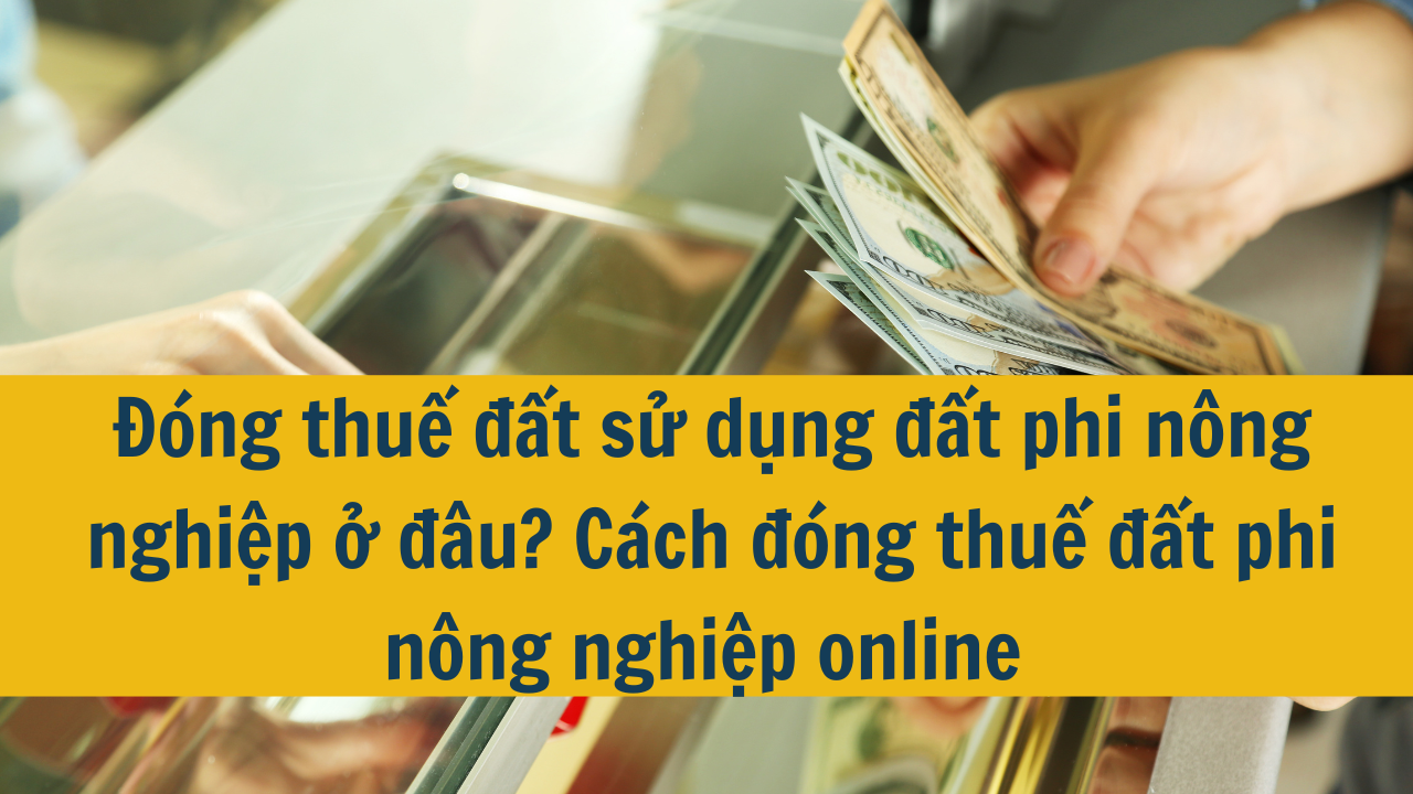 Đóng thuế đất sử dụng đất phi nông nghiệp ở đâu? Cách đóng thuế đất phi nông nghiệp online 2025